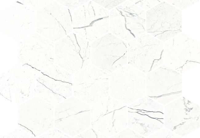 Urban Zebra New Style Dark X Cortina White Porcelain Tile Dark view 6