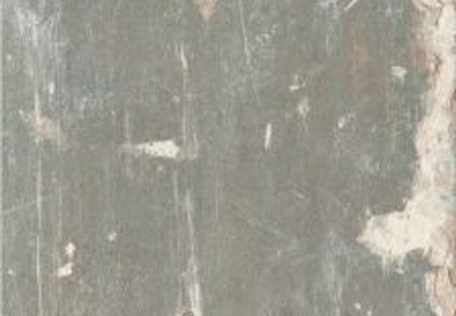 Urban Zebra Marks Porcelain Tile Gun Metal view 2