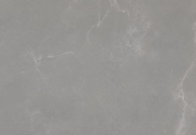 Urban Zebra Stardust Porcelain Tile Nebula
