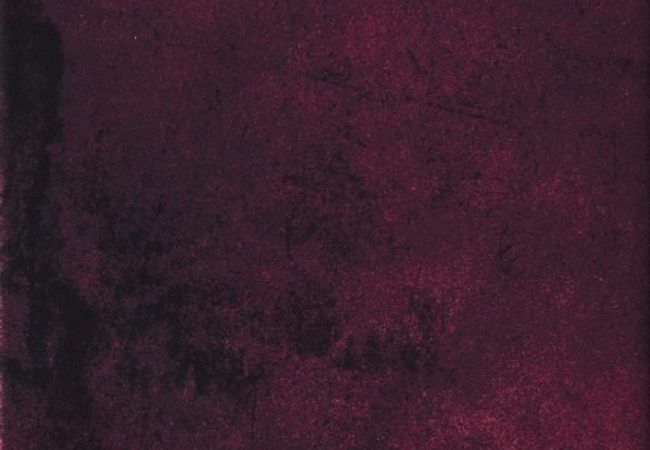 Urban Zebra Miami Porcelain Tile Red Clay