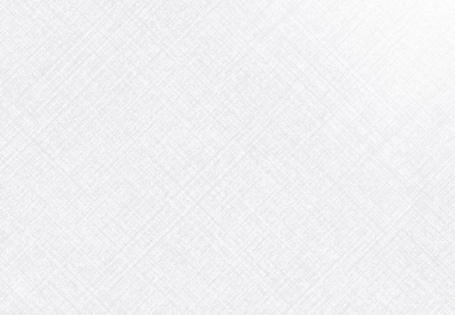 Urban Zebra Harley Lux Porcelain Tile White