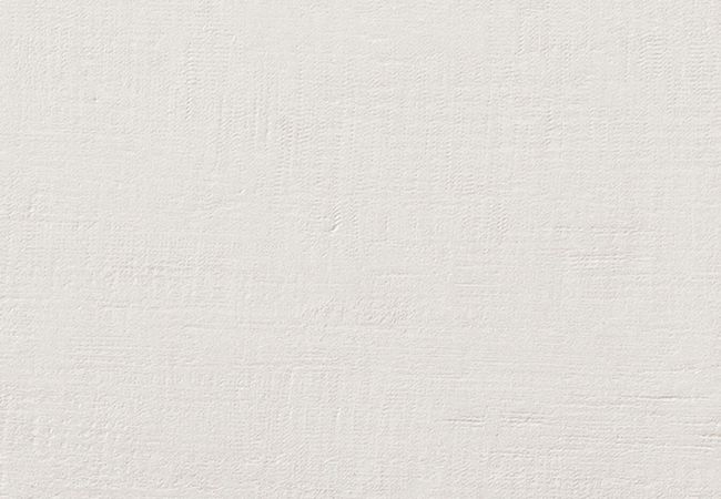Urban Zebra Look Porcelain Tile White view 4