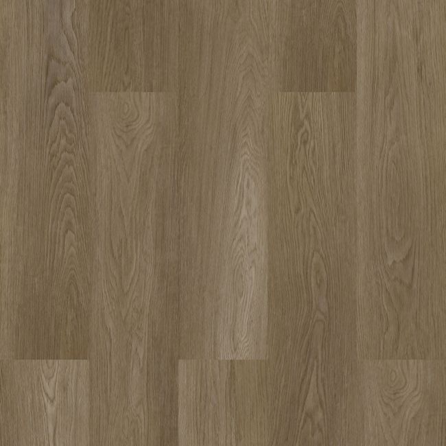 Vizion Marvelous Acadia Luxury Vinyl Plank