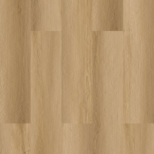 Vizion Marvelous Banff Luxury Vinyl Plank