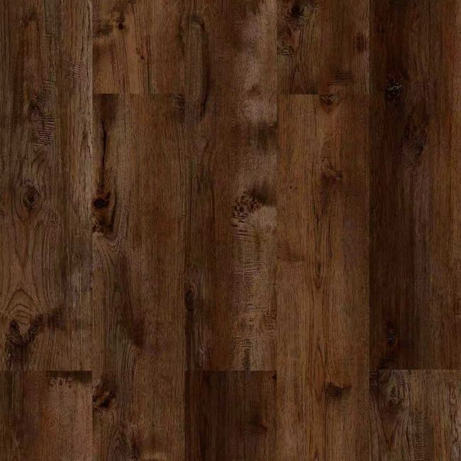 Vizion Marvelous Wapusk Luxury Vinyl Plank