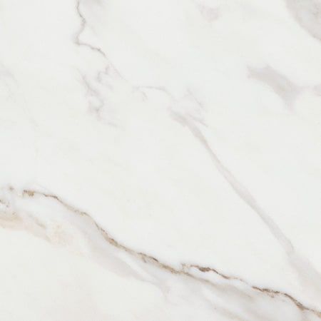 Sarana Tile Ek Calacatta Ekcala Matte Porcelain 47.6" x 47.6"